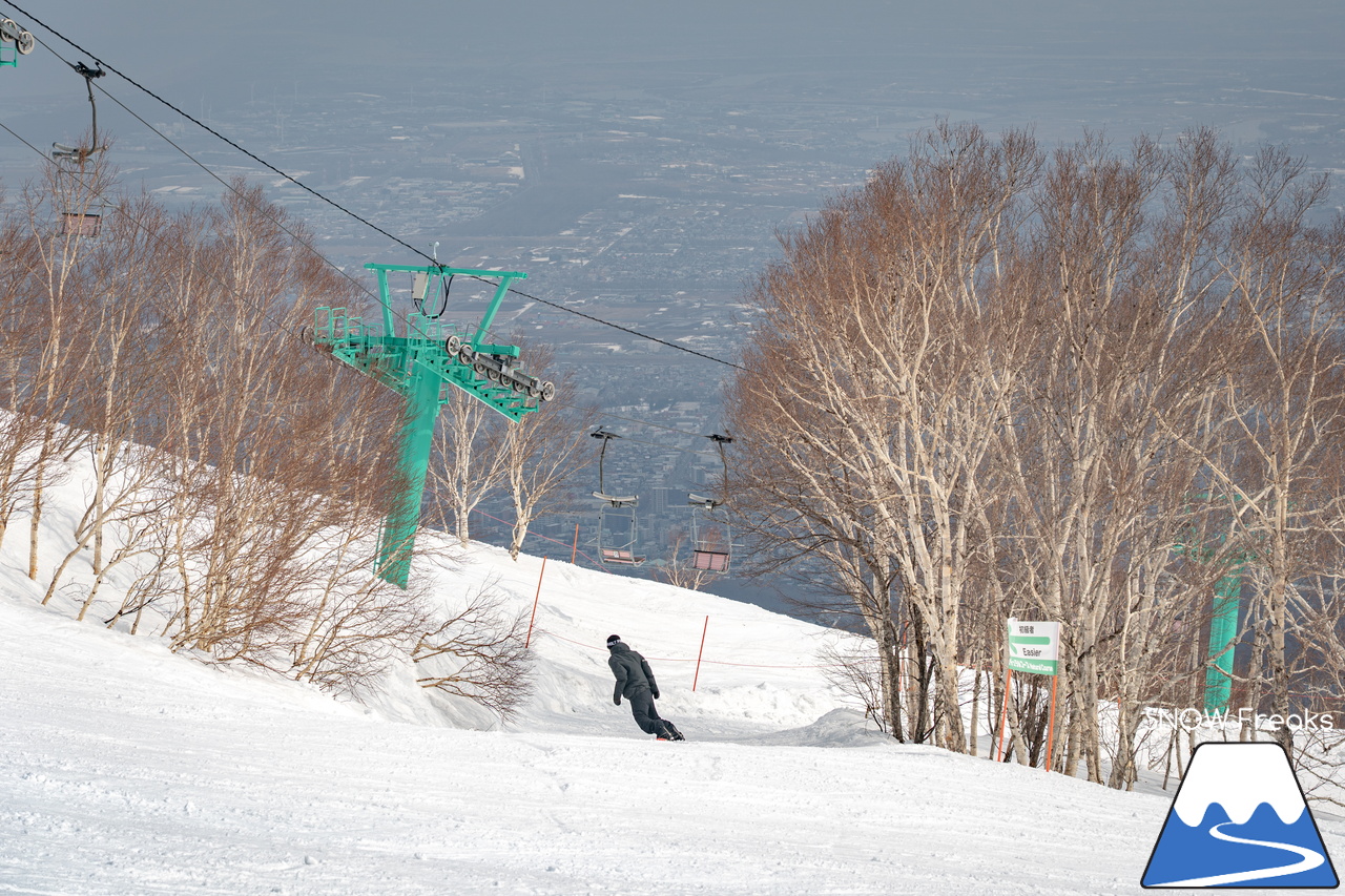 サッポロテイネ｜山頂積雪 285cm！絶好の春コンディションのゲレンデは、『アルペンスキー大会』『モーグル大会』『テイネ雪山祭り』『北海道米そり選手権2026』で大盛り上がり～(^^)v